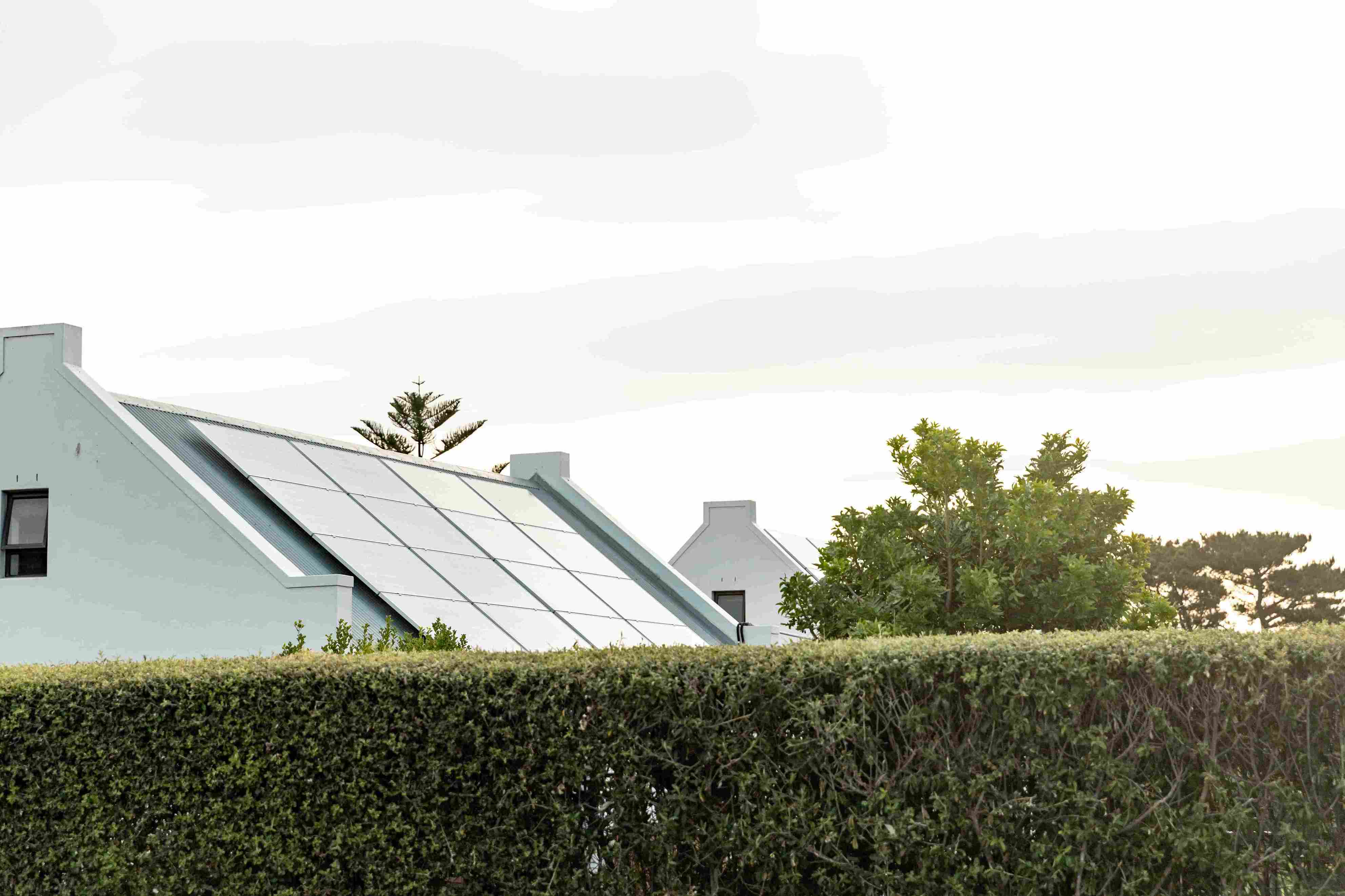 Yeşil Çatı Sistemleri